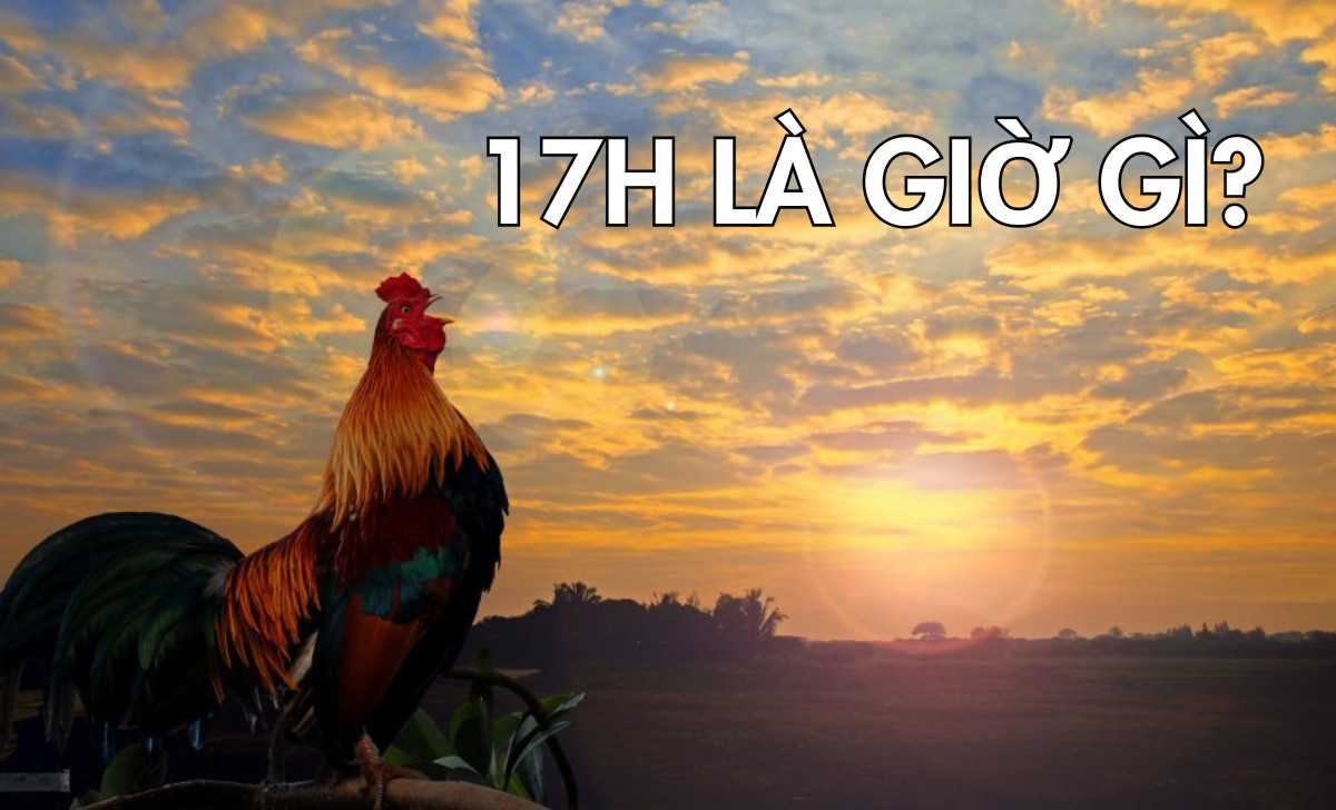 17h La Gio Gi 1733308687