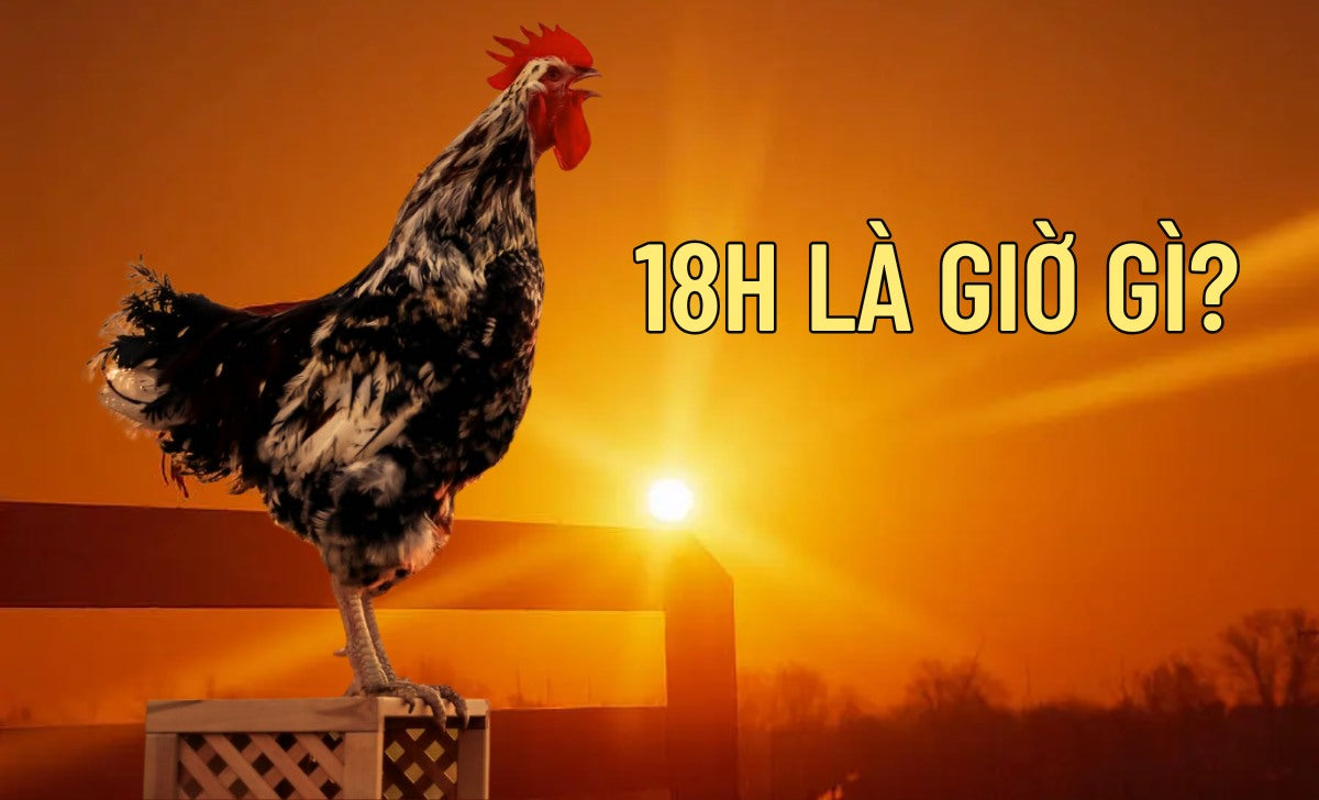 18h La Gio Gi 1733480825