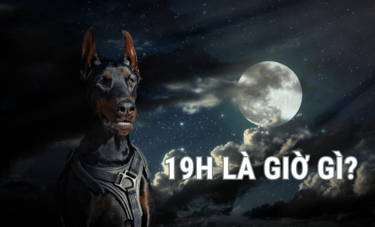 19h La Gio Gi 1733826365
