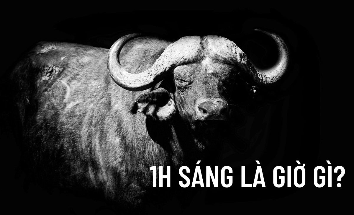 1h Sang La Gio Gi 1736418844