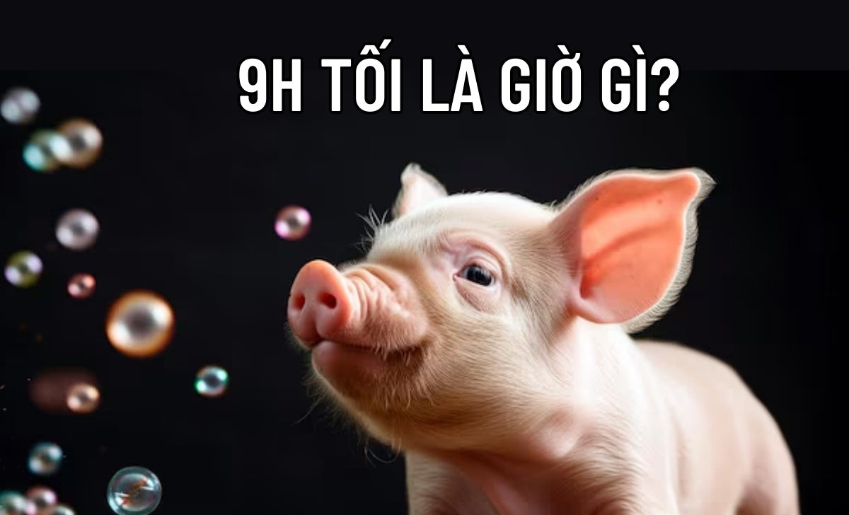 9h Toi La Gio Gi 1734431744