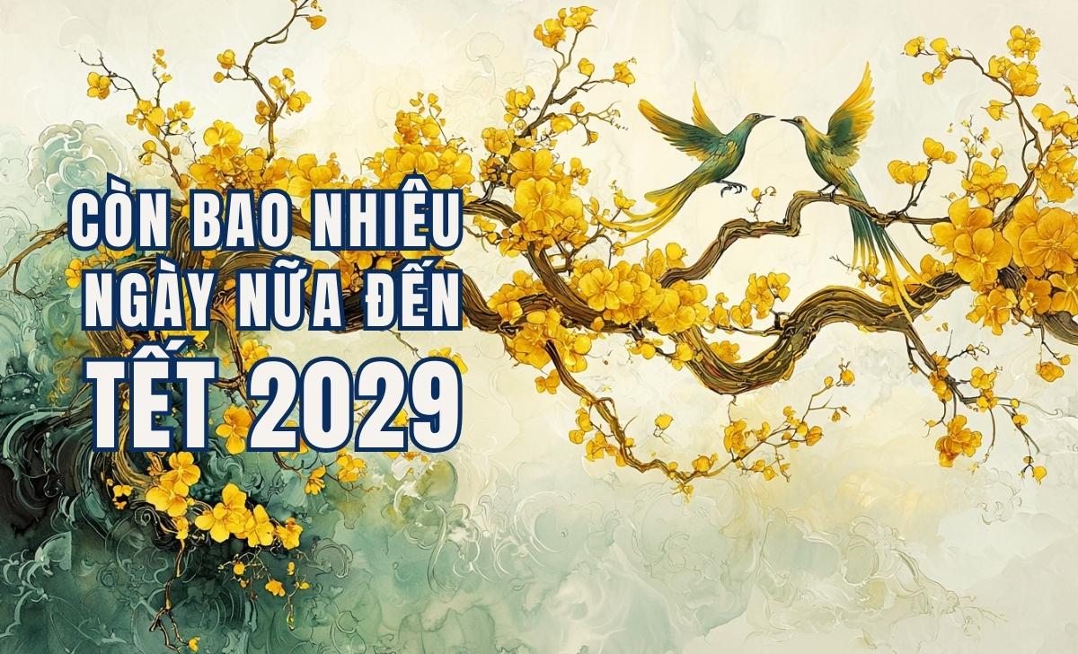 Bao Nhieu Ngay Nua Den Tet 2029 1733308341