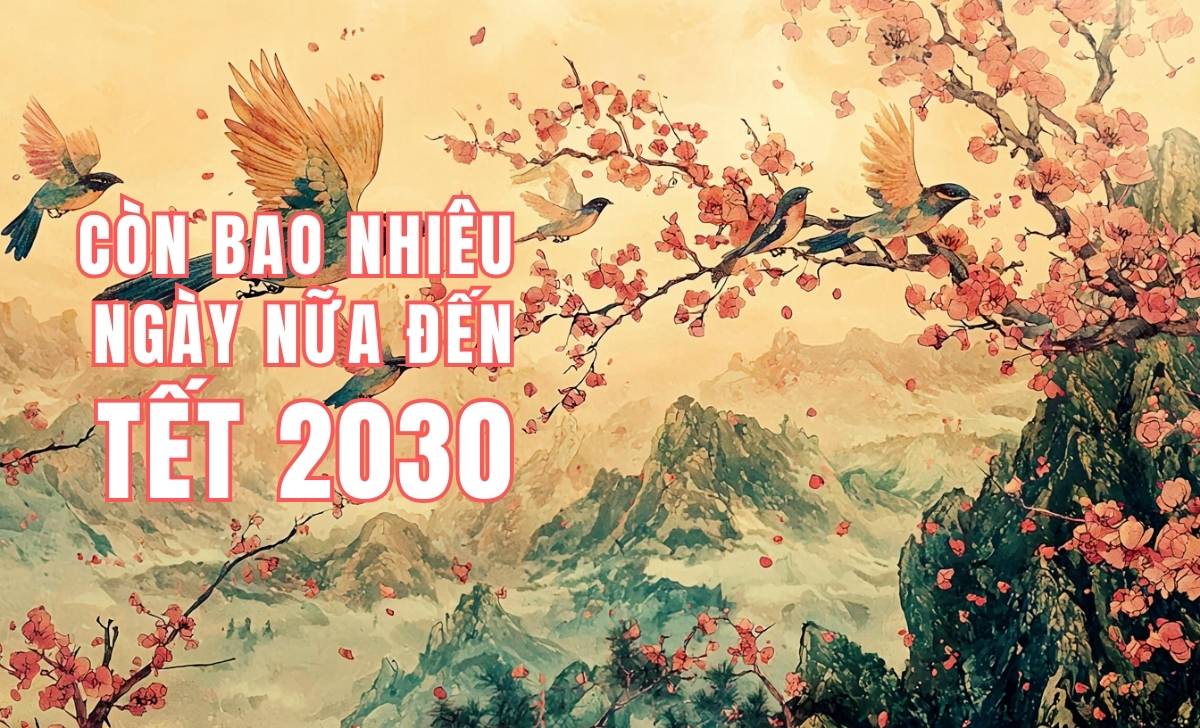 Bao Nhieu Ngay Nua Den Tet 2030 1733392657
