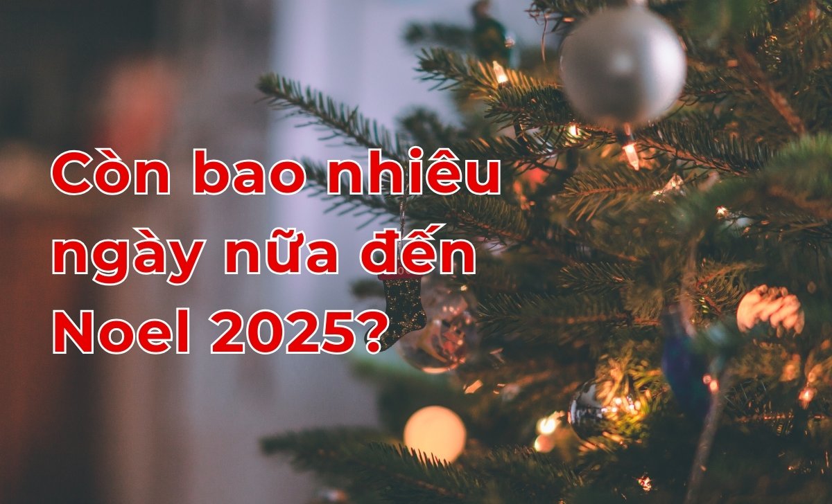 Con Bao Nhieu Ngay Nua Den Noel 2025 Dem Nguoc 1733219457