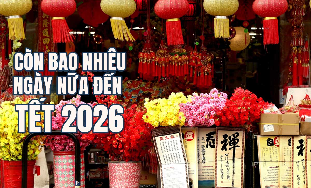 Con Bao Nhieu Ngay Nua Den Tet 2026 1728986594
