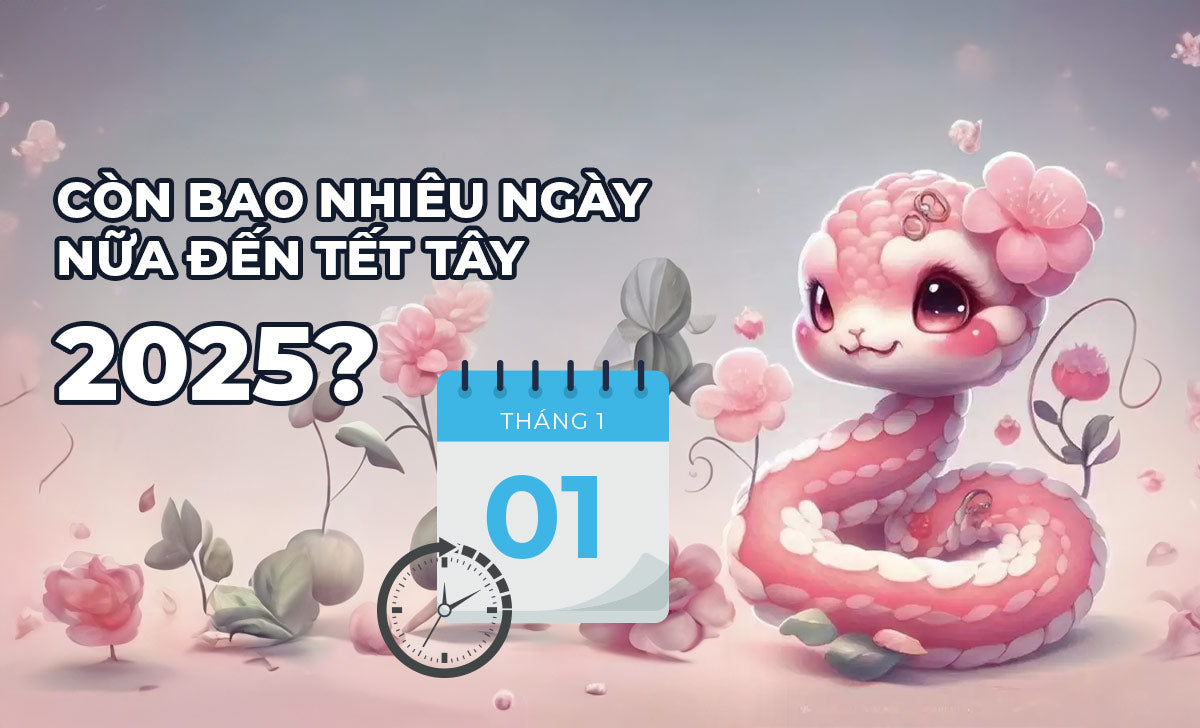 Con Bao Nhieu Ngay Nua Den Tet Duong Lich 1728032702