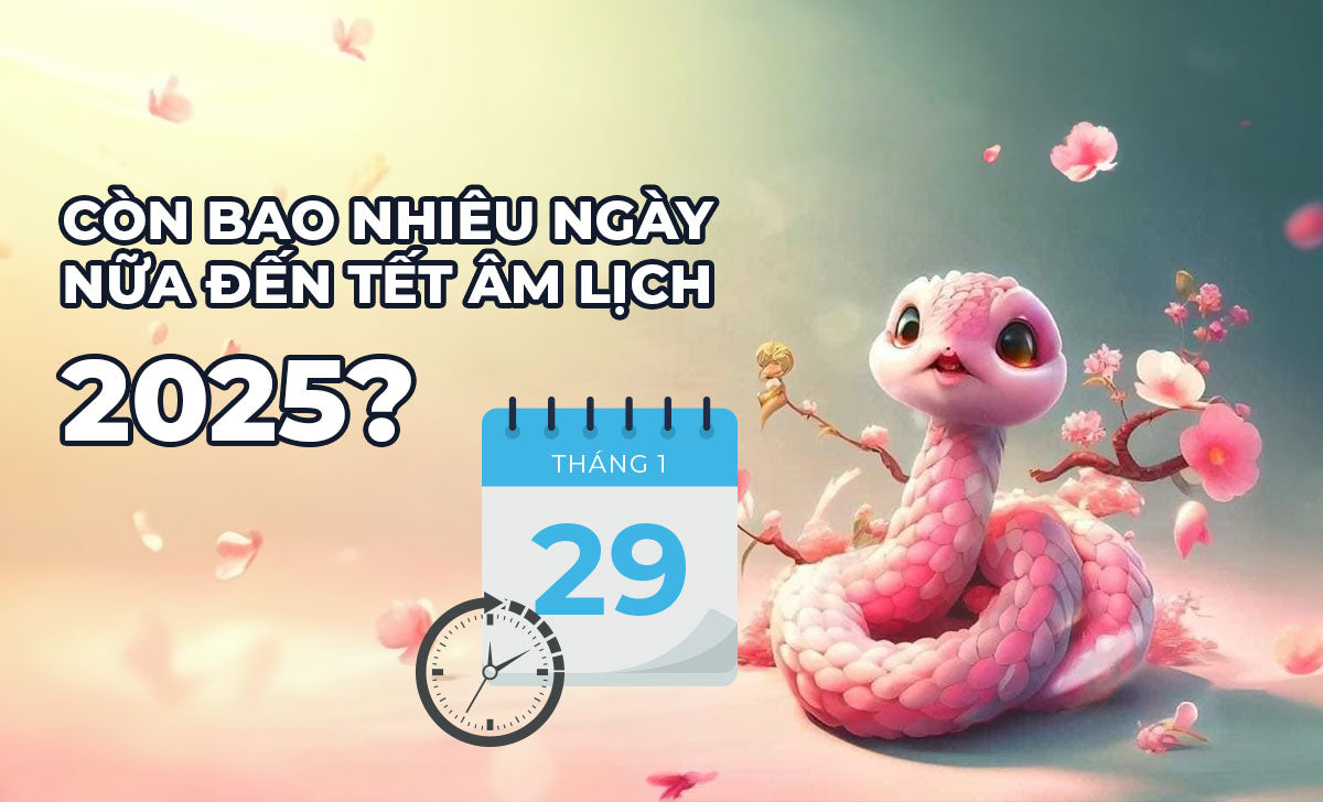 Con Bao Nhieu Ngay Nua Den Tet 1728015098