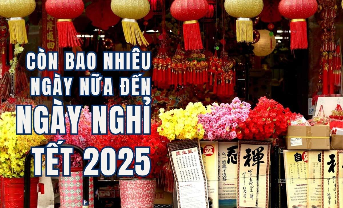 Con Bao Nhieu Ngay Nua Nghi Tet 2025 1735810768