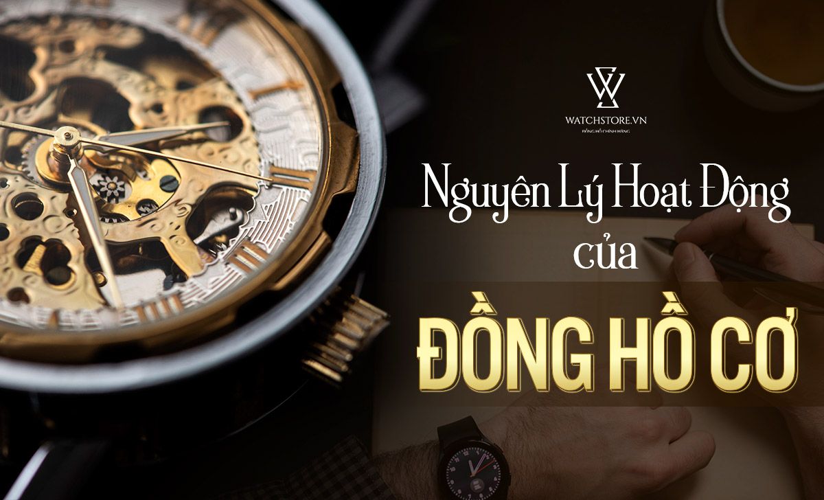 Nguyen Ly Hoat Dong Dong Ho Co 1655281283164 1712294853