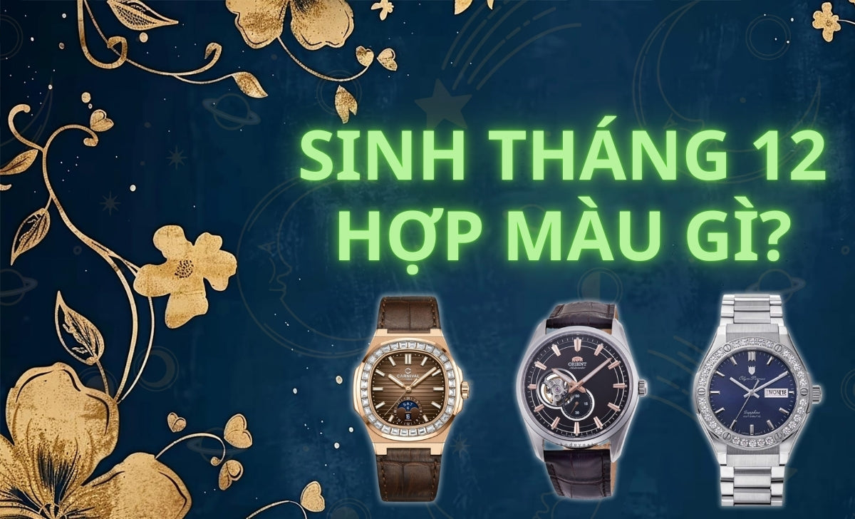 Sinh Thang 12 Hop Mau Gi Thumb 1722940353