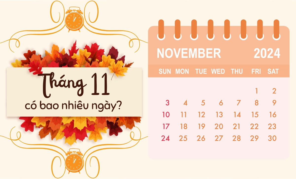 Thang 11 Co Bao Nhieu Ngay 1729852288
