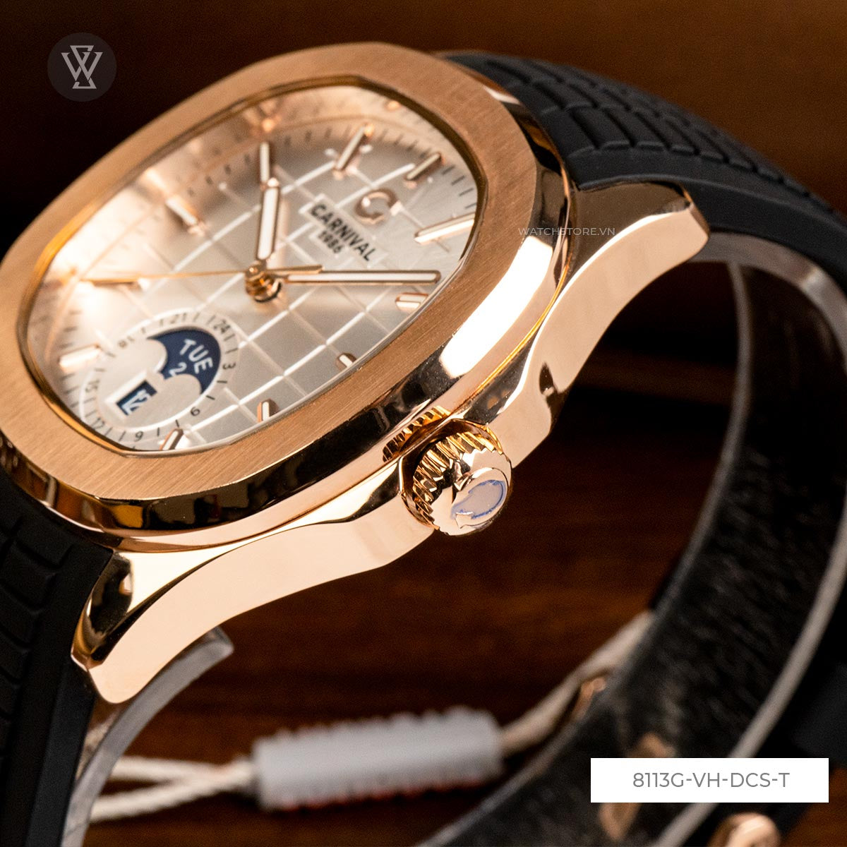 8113g Vh Dcs T 5 1712667079
