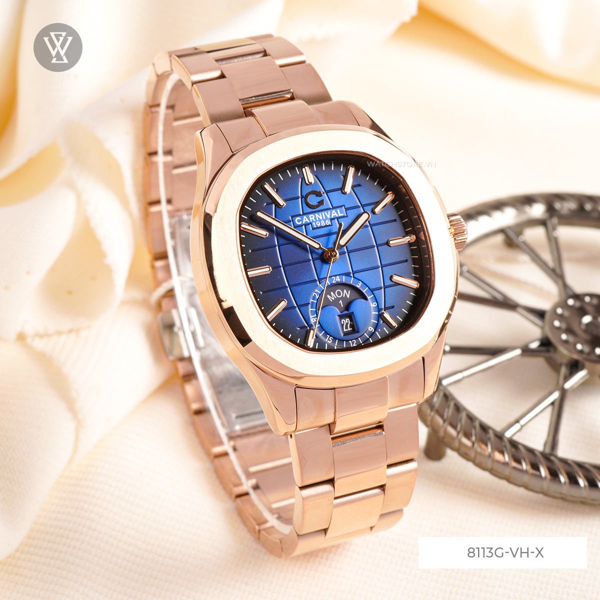 8113g Vh X 2 1712667556