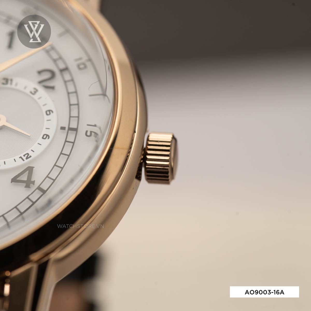 Citizen Ao9003 16a 5 1627461806422 1712570669
