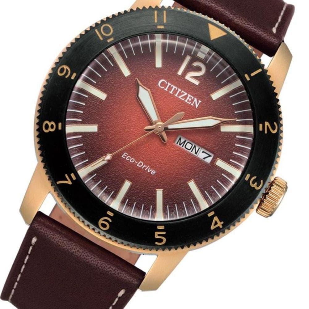 Dong Ho Citizen Aw0079 13x 2 Ims 1712564991