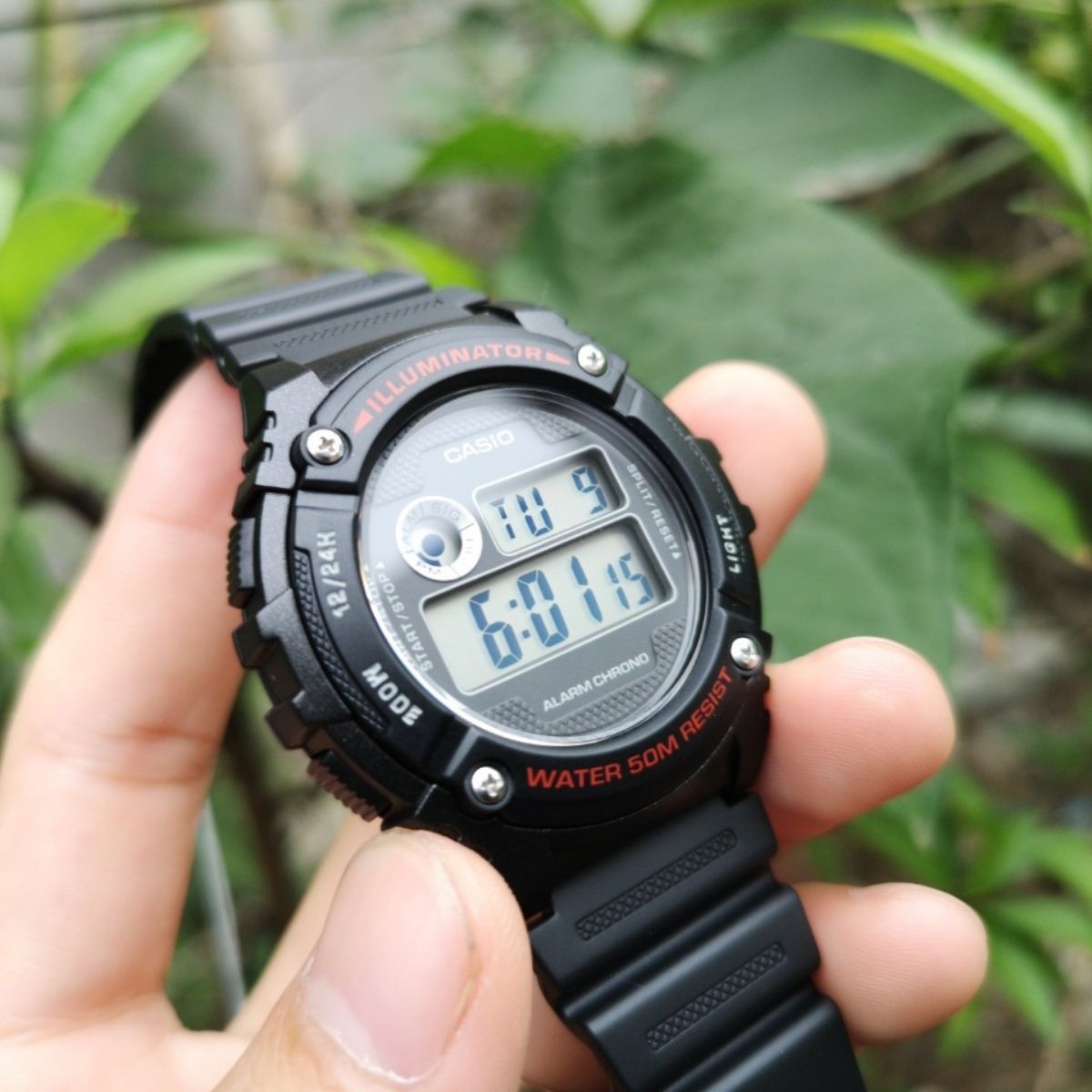 W 216h 1bvdf 5 1712569951