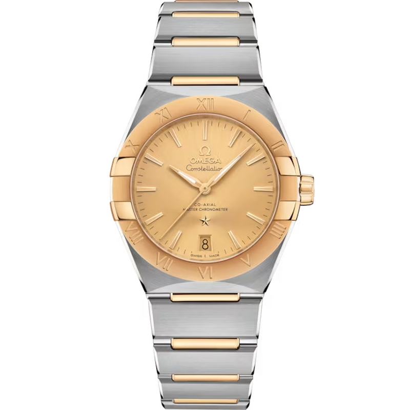 Omega Nam 131.20.36.20.08.001