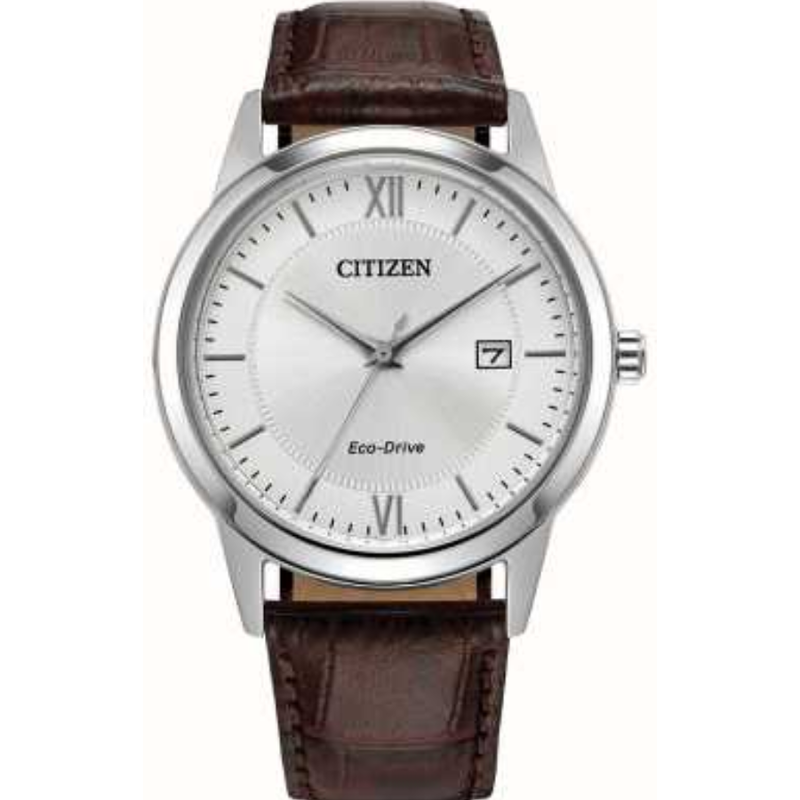 Citizen Nữ FE1087-28A