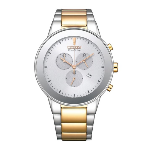Citizen Nam AT2244-84A