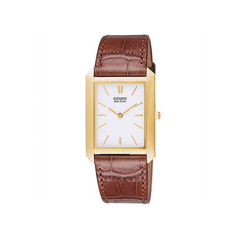 Citizen Nam AR3002-21A