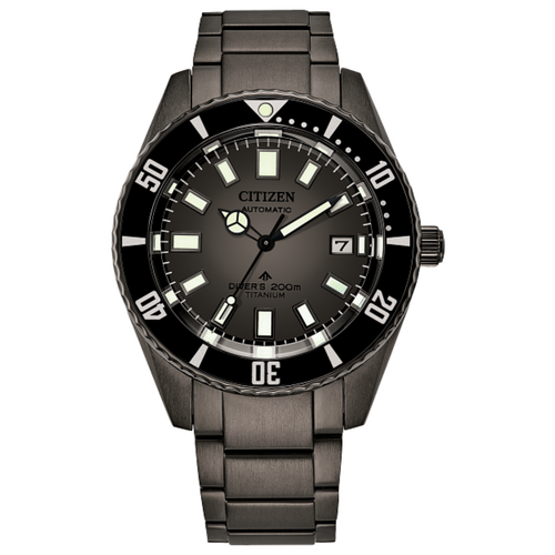 Citizen Nam NB6025-59H