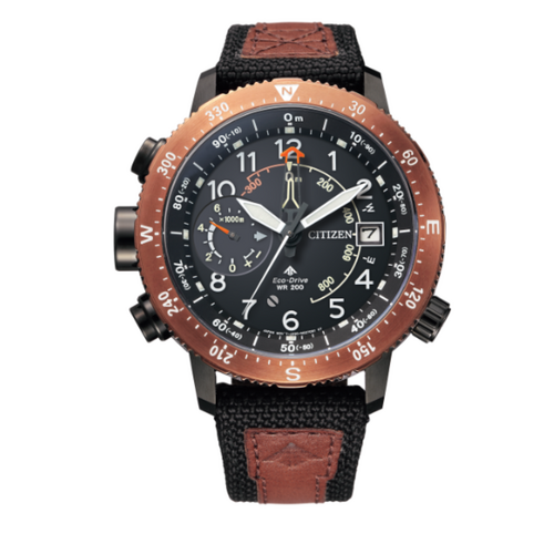 Citizen Nam BN4049-11E