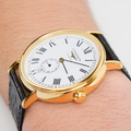 Longines Nam L4.905.2.11.2