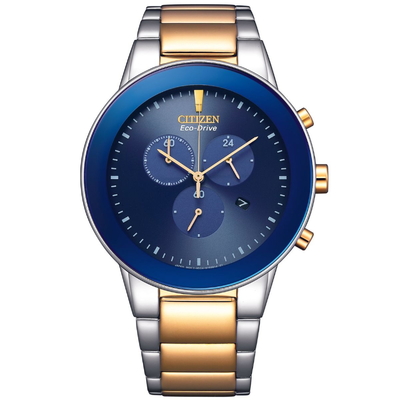 Citizen Nam AT2244-84L