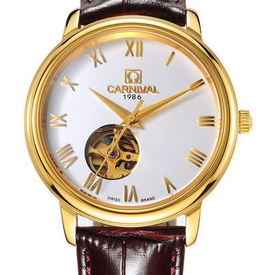 Carnival Nam 50801G-VV-DD-T