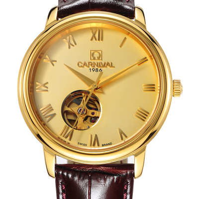 Carnival Nam 50801G-VV-DD-V