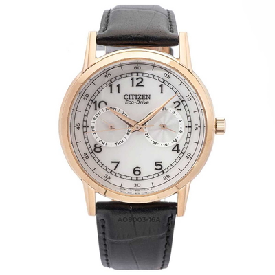 Citizen - Nam AO9003-16A Size 42mm