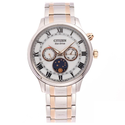 Citizen Nam AP1054-80A