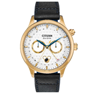 Citizen Nam AP1058-11W