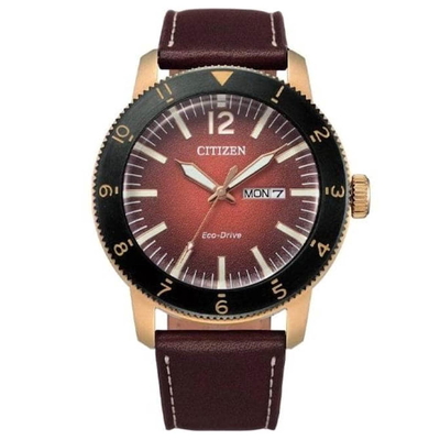 Citizen Nam AW0079-13X