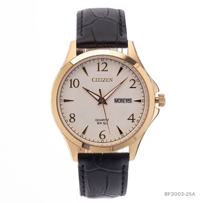 Citizen Nam BF2003-25A