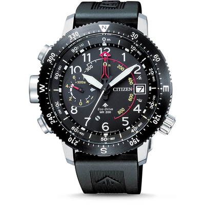 Citizen Nam BN4044-15E