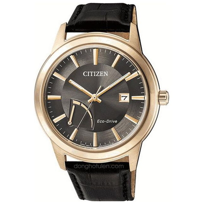 Citizen Nam AW7013-05H