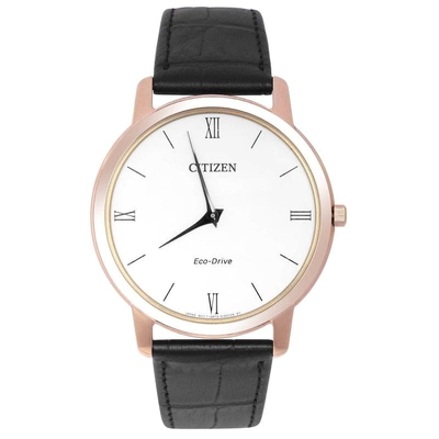 Citizen Nam AR1133-23A