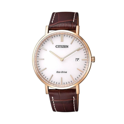 Citizen Nam AU1083-13A