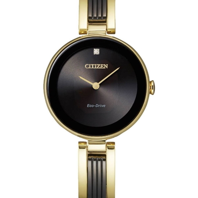 Citizen Nữ EX1539-57E