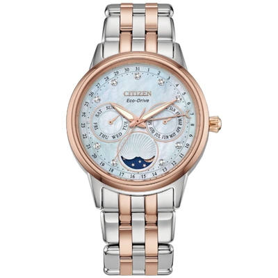 Citizen Unisex FD0006-56D