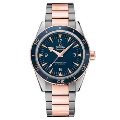 Omega Seamaster Nam 233.60.41.21.03.001