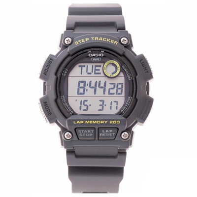 Casio Nam WS-2100H-8AVDF