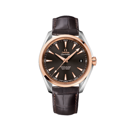Omega Nam 231.23.42.21.06.003