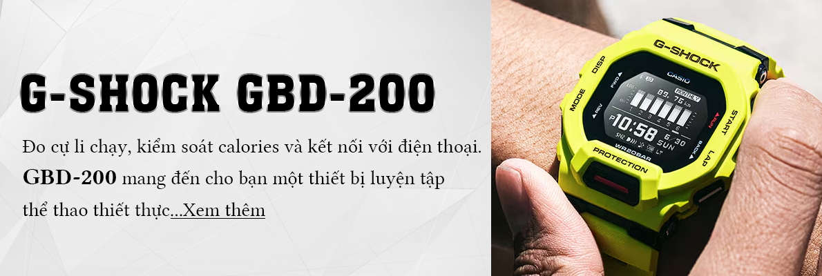 GBD-200 mô tả