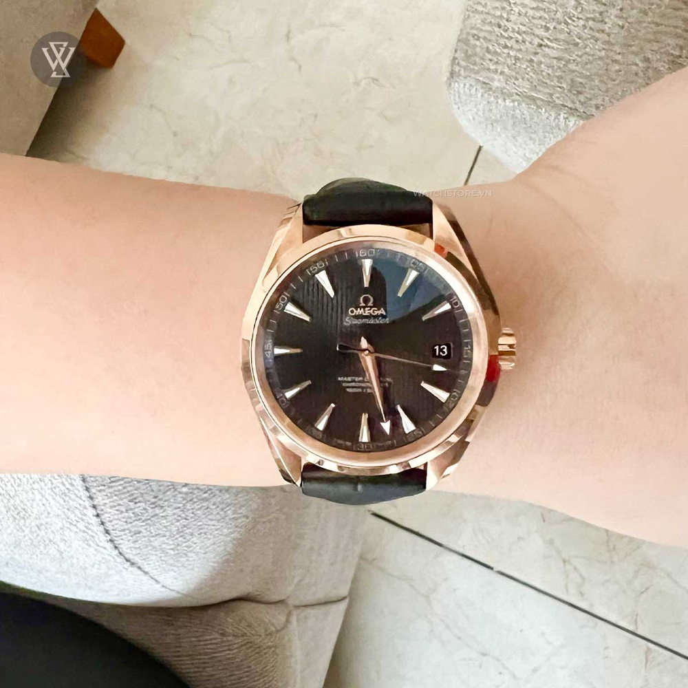 Omega Seamaster Nam 231.53.42.21.06.002