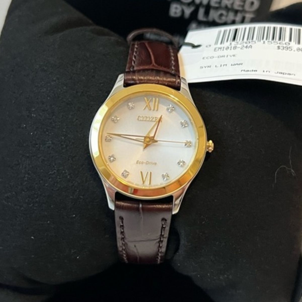 Citizen Nữ EM1018-24A