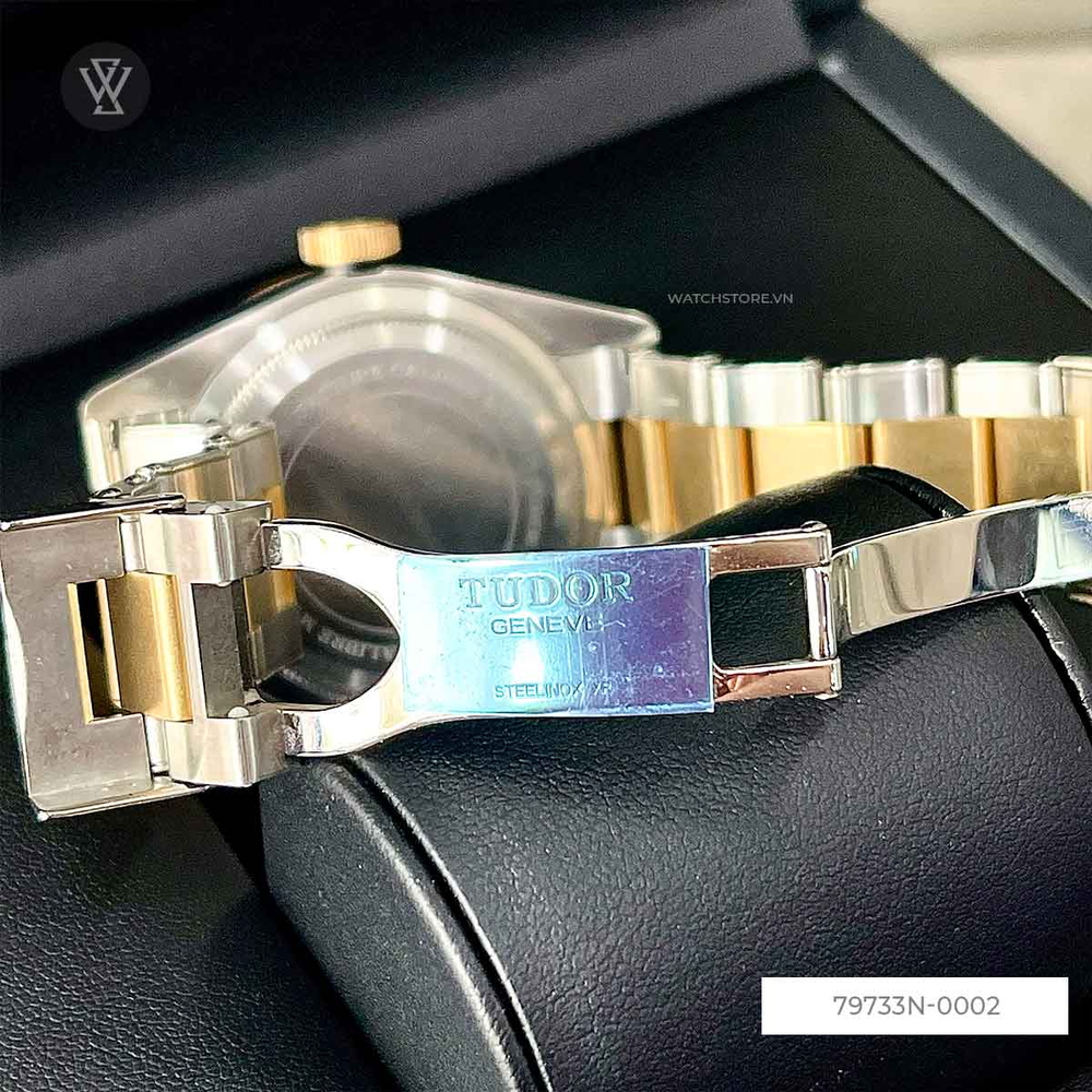Tudor Nam 79733N-0002