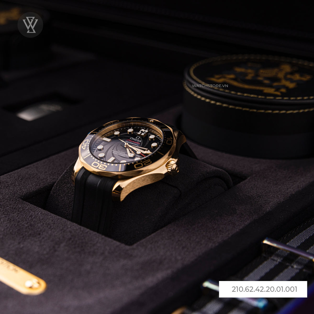 Omega Seamaster Nam 210.62.42.20.01.001
