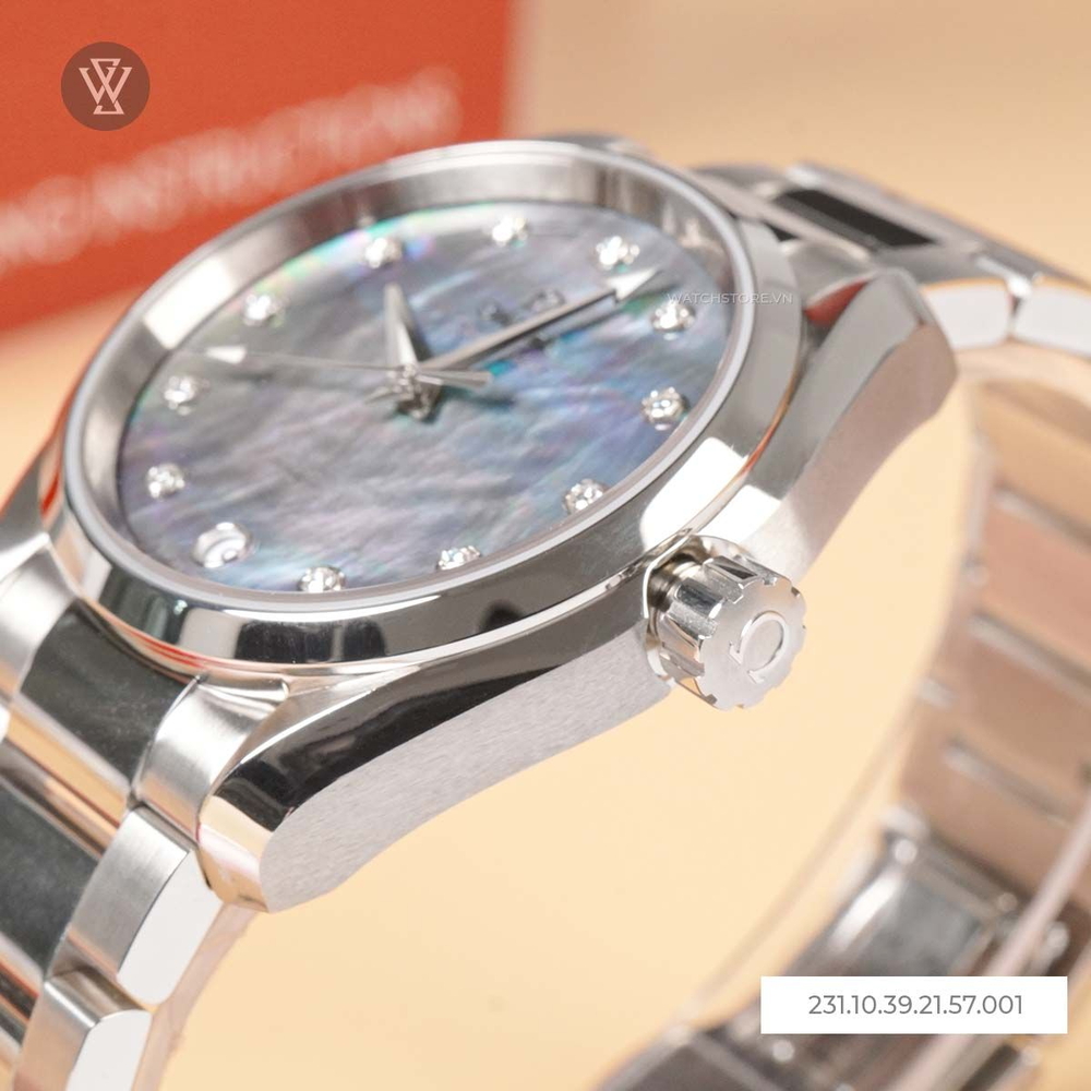Omega Seamaster Nam 231.10.39.21.57.001